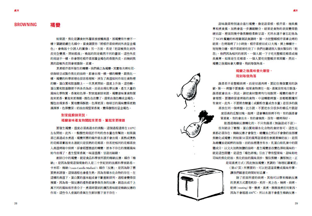 風味炸彈 平裝書 Paperback