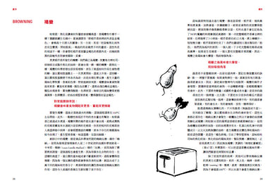 風味炸彈 平裝書 Paperback