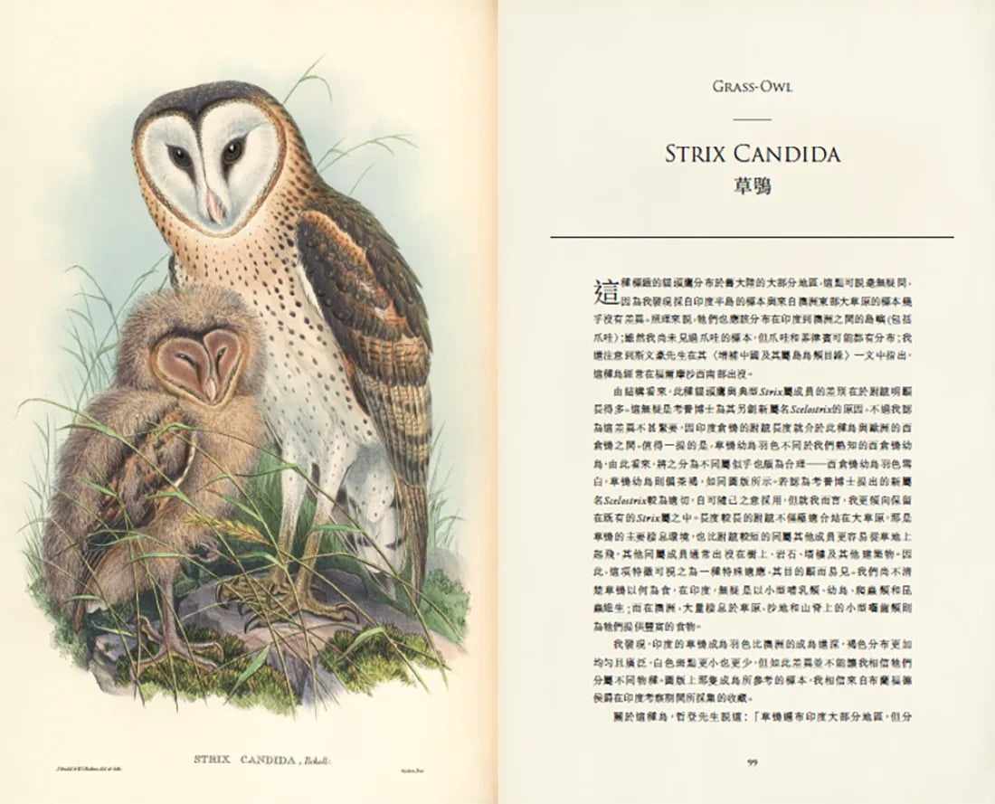 臺灣珍鳥重現：古爾德鳥類博物誌臺灣選集 精裝書 Hardback