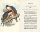 臺灣珍鳥重現：古爾德鳥類博物誌臺灣選集 精裝書 Hardback