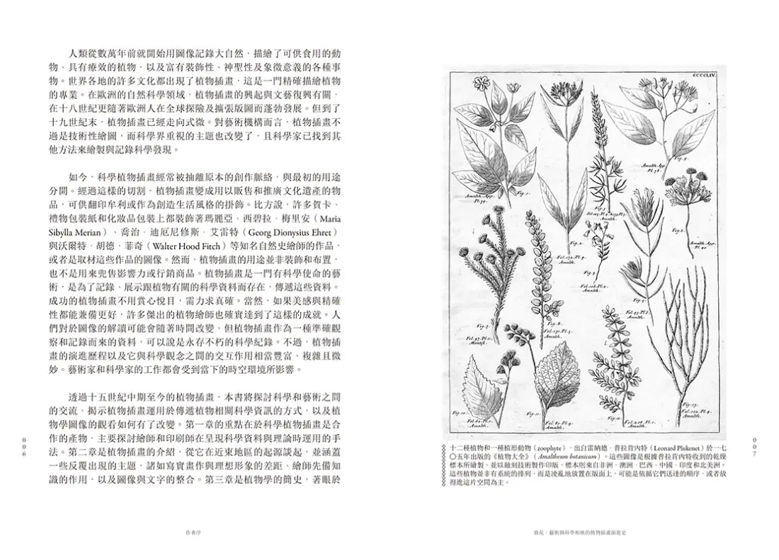 妝花：世界植物插畫演進史的藝術之美與科學思辨 平裝書 Paperback