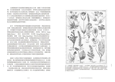 妝花：世界植物插畫演進史的藝術之美與科學思辨 平裝書 Paperback