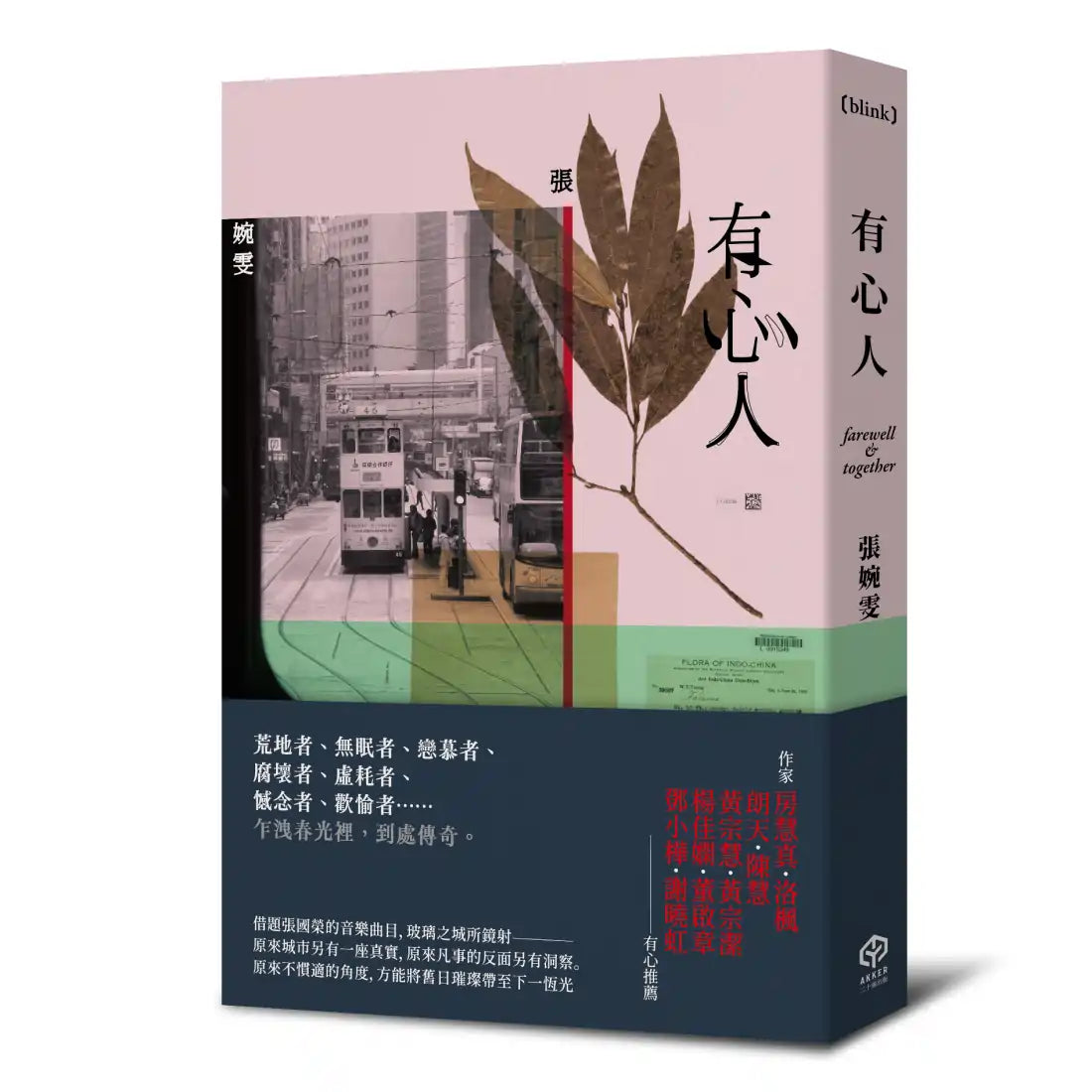 有心人（香港七○後重要小說家，借題張國榮音樂曲目的短篇小說集） 平裝書 Paperback