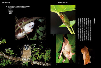 臺灣的紋理1：自然篇——地質地景、生物演化、環境變遷極簡史冊 平裝書 Paperback