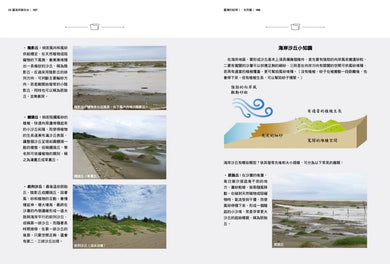 臺灣的紋理1：自然篇——地質地景、生物演化、環境變遷極簡史冊 平裝書 Paperback