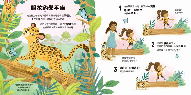 動物學校(2)體育課：跟臭鼬學倒立，跟花豹學平衡，跟犰狳學翻滾！ 精裝書 Hardback