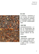 海裡咬山：澎湖赤崁丁香漁人學 平裝書 Paperback