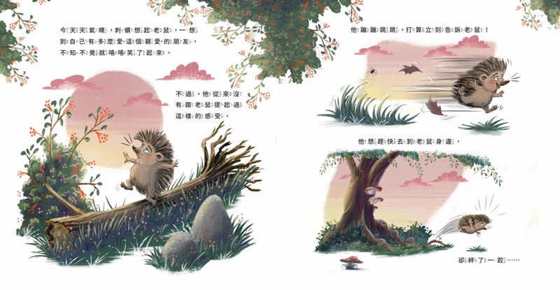 我就愛這樣的你〔刺蝟與小老鼠1〕-Children’s / Teenage fiction: Relationship stories-買書書 BuyBookBook