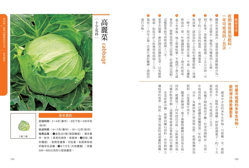 新手不敗的一坪迷你菜園：零經驗也能四季收成的家庭菜園入門指南 平裝書 Paperback