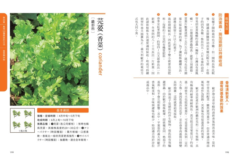 新手不敗的一坪迷你菜園：零經驗也能四季收成的家庭菜園入門指南 平裝書 Paperback