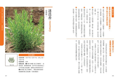 新手不敗的一坪迷你菜園：零經驗也能四季收成的家庭菜園入門指南 平裝書 Paperback