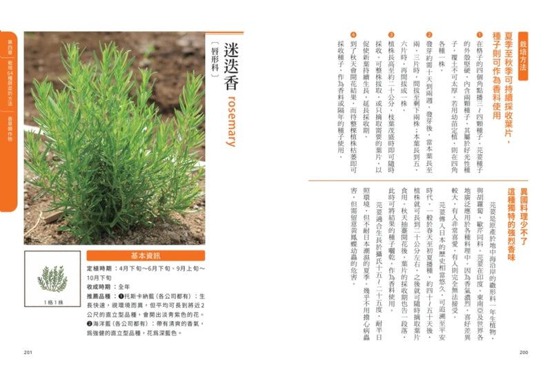 新手不敗的一坪迷你菜園：零經驗也能四季收成的家庭菜園入門指南 平裝書 Paperback