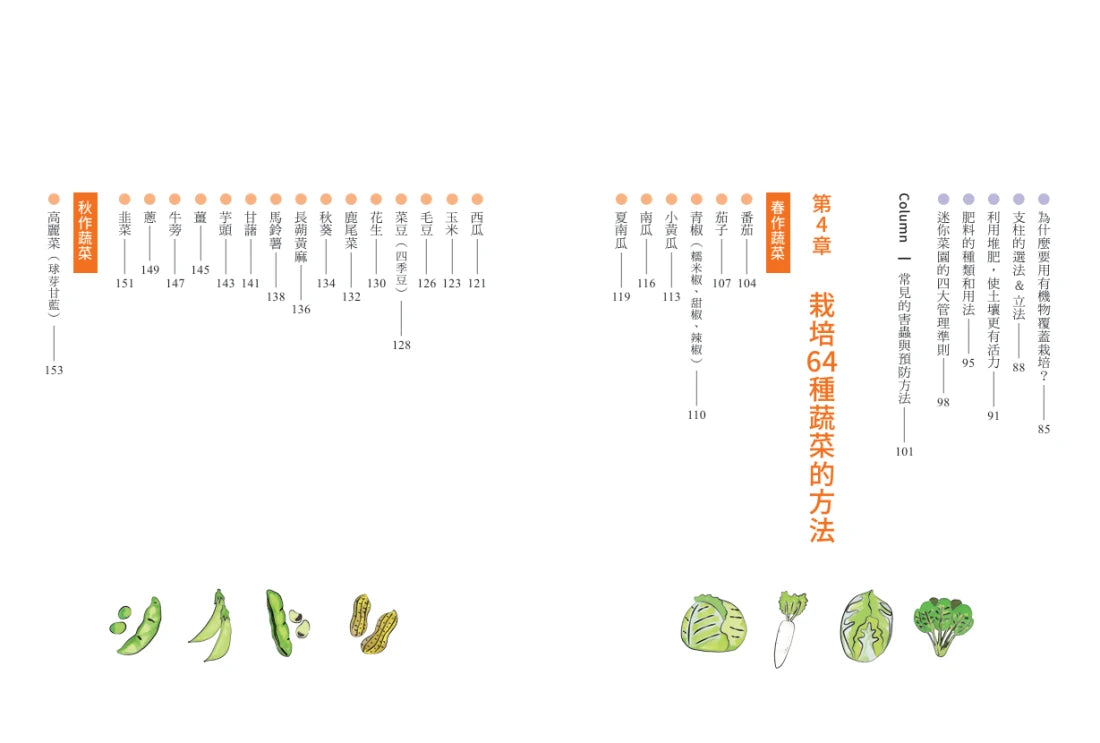 新手不敗的一坪迷你菜園：零經驗也能四季收成的家庭菜園入門指南 平裝書 Paperback