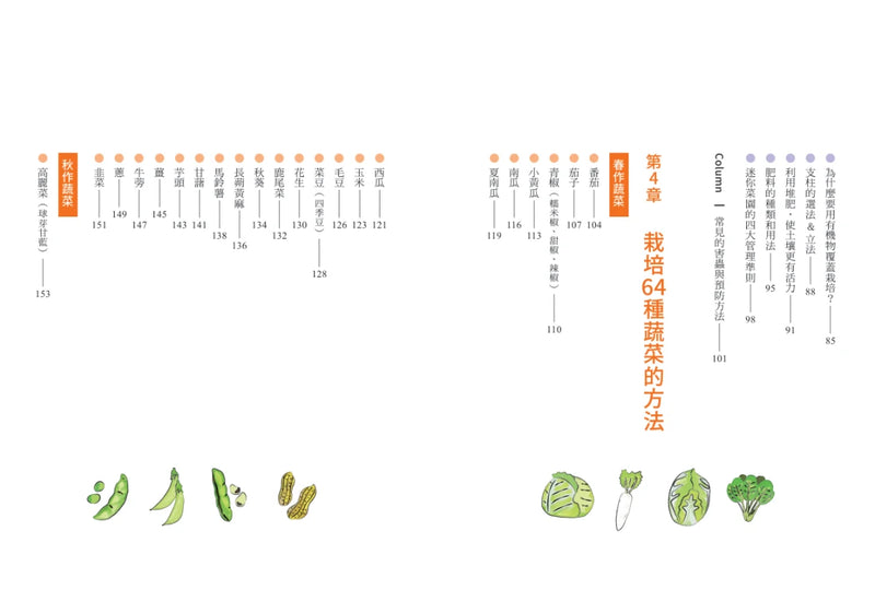 新手不敗的一坪迷你菜園：零經驗也能四季收成的家庭菜園入門指南 平裝書 Paperback