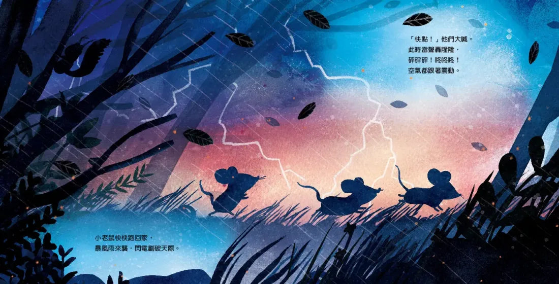 小老鼠，乖乖睡（讓孩子睡得更香甜的「正念睡前儀式」繪本） 精裝書 Hardback