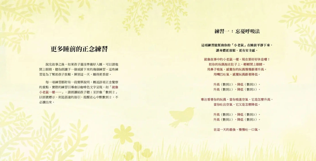 小老鼠，乖乖睡（讓孩子睡得更香甜的「正念睡前儀式」繪本） 精裝書 Hardback