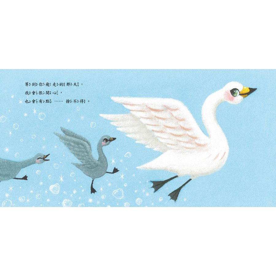 Inside Page 4