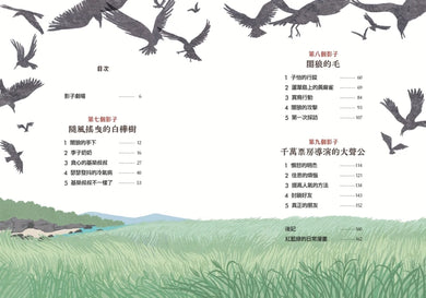 影子商店3：蘆葦島上的神祕黑鳥 平裝書 Paperback