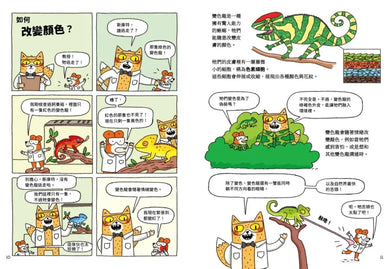 喵因斯坦②瘋生物：
如何和海豚說話 平裝書 Paperback