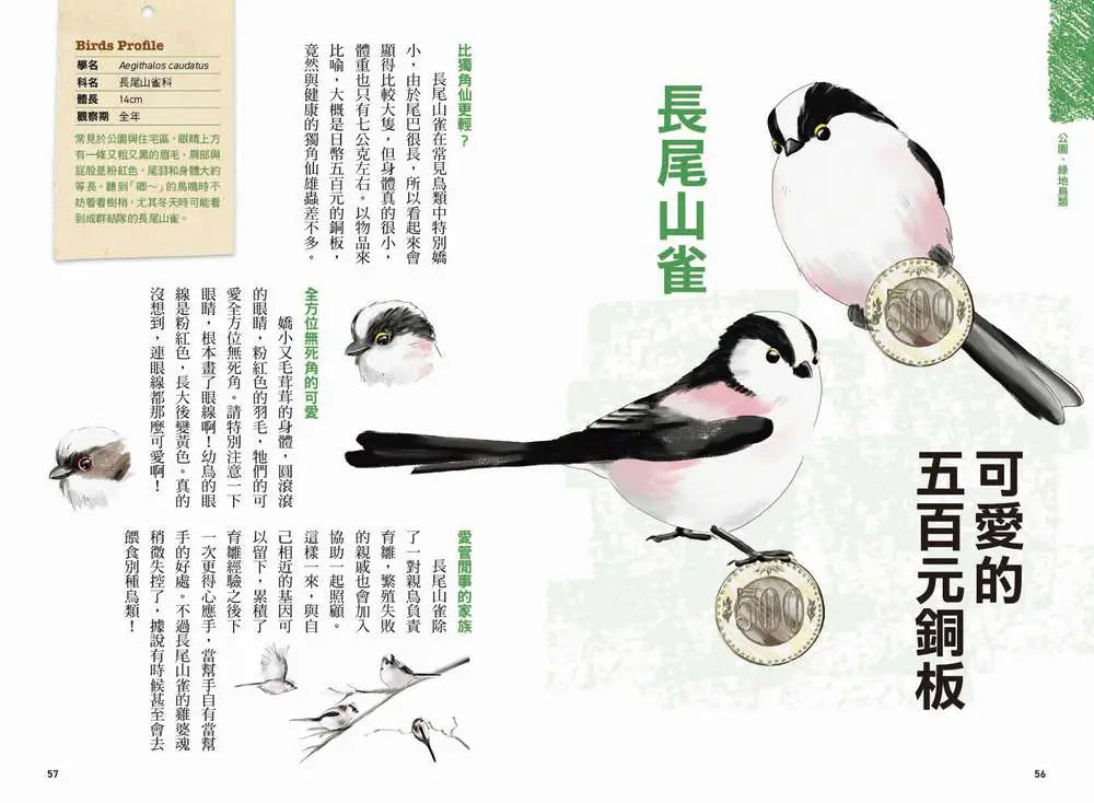 Inside Page 5