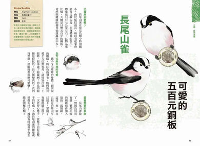 Inside Page 5