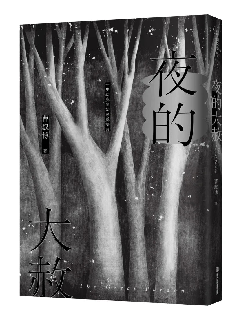 《夜的大赦》 平裝書 Paperback