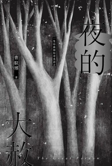 《夜的大赦》 平裝書 Paperback