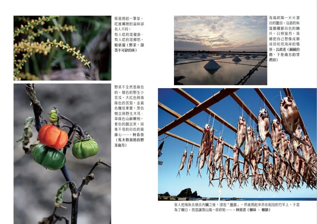 食在四方：建蓁華文飲食文選 平裝書 Paperback