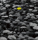 傘後拾年：夏慤村的未圓夢-非故事: 歷史戰爭 History & War-買書書 BuyBookBook