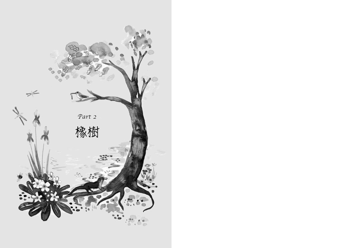 樹精靈之歌1：歐盟文學獎、荒野寫作大獎暢銷作家奇幻冒險故事 平裝書 Paperback