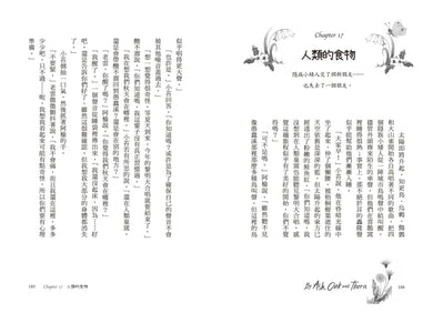 樹精靈之歌1：歐盟文學獎、荒野寫作大獎暢銷作家奇幻冒險故事 平裝書 Paperback