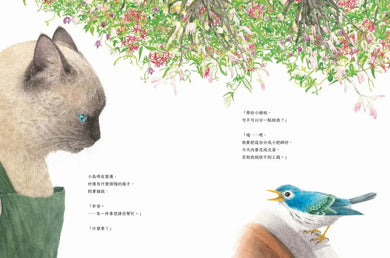 貓與小鳥 精裝書 Hardback