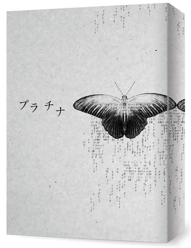Inside Page 1
