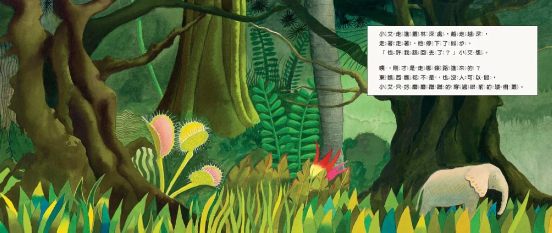 幫我找媽媽 精裝書 Hardback