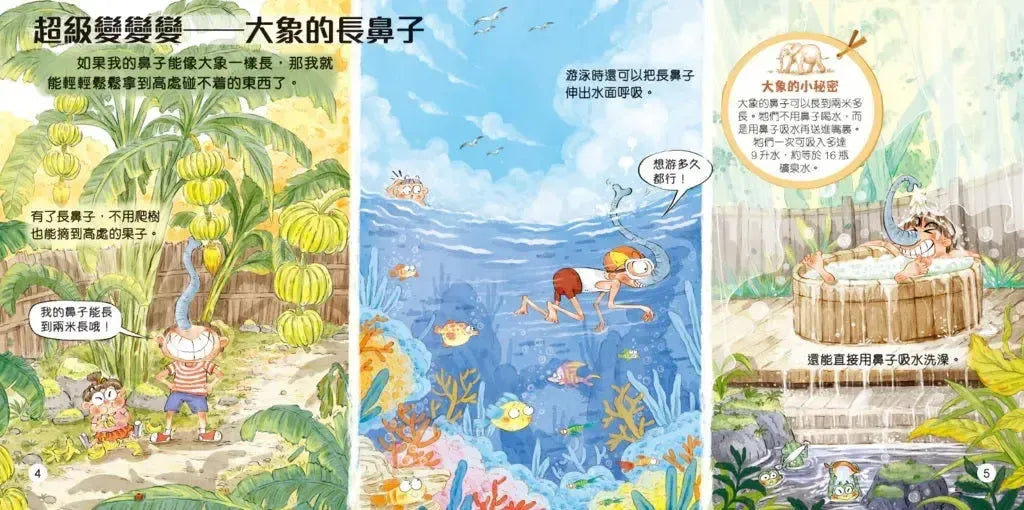 動物超感官：假如我有犀牛的鼻子-Children’s / Teenage general interest: Nature and animals-買書書 BuyBookBook