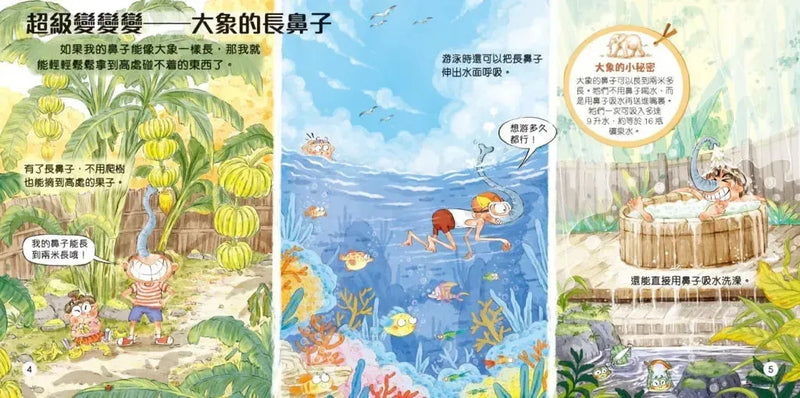 動物超感官套裝（一套4冊）-Children’s / Teenage general interest: Nature and animals-買書書 BuyBookBook