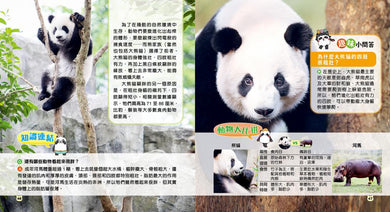 一本書讀懂大熊貓！竹林「萌主」趣味百科（附送AR貼紙）-Children’s / Teenage general interest: Nature and animals-買書書 BuyBookBook