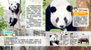 一本書讀懂大熊貓！竹林「萌主」趣味百科（附送AR貼紙）-Children’s / Teenage general interest: Nature and animals-買書書 BuyBookBook