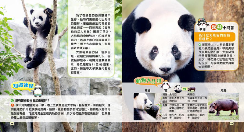 一本書讀懂大熊貓！竹林「萌主」趣味百科（附送AR貼紙）-Children’s / Teenage general interest: Nature and animals-買書書 BuyBookBook