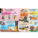 你不知？我知！180組趣味知識速解［新雅．知識館］-Children’s / Teenage general interest: General knowledge and interesting facts-買書書 BuyBookBook