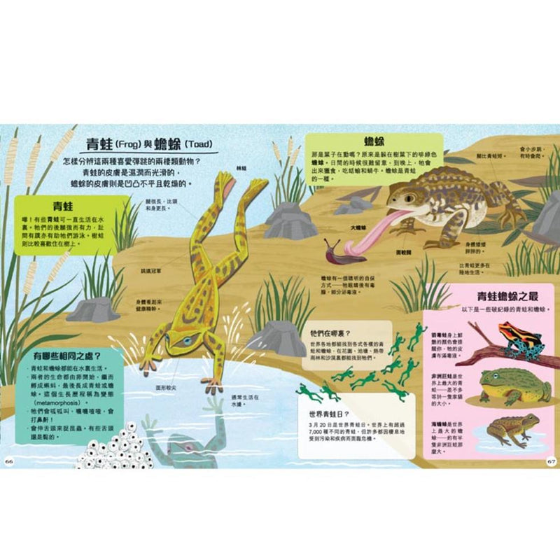 你不知？我知！180組趣味知識速解［新雅．知識館］-Children’s / Teenage general interest: General knowledge and interesting facts-買書書 BuyBookBook