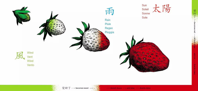 草莓 (新宮晉)
