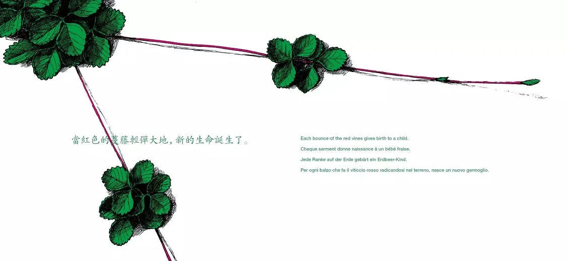 草莓 (新宮晉)-非故事: 動物植物 Animal & Plant-買書書 BuyBookBook