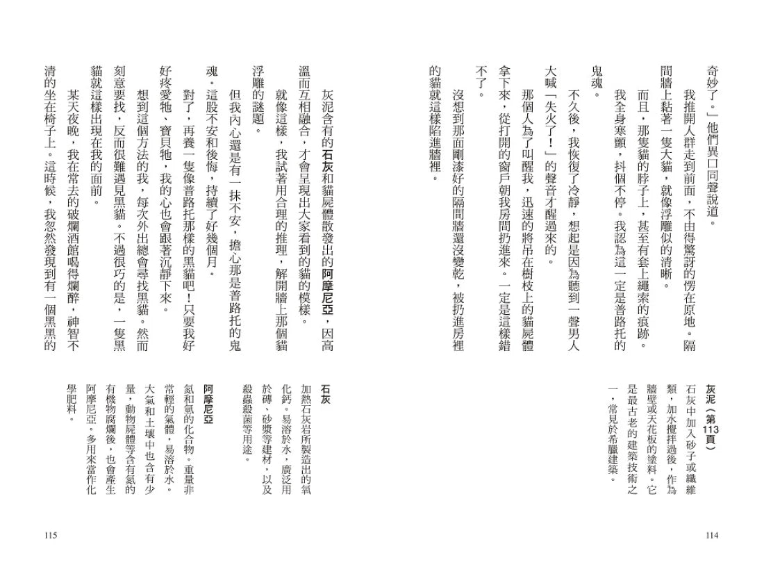 我的第一套世界文學17：黑貓—愛倫・坡恐怖推理小說集 平裝書 Paperback