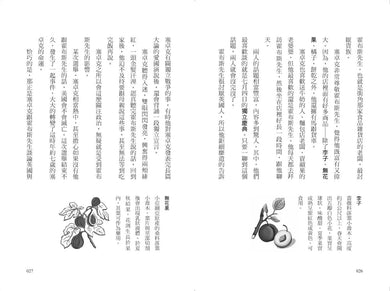 我的第一套世界文學19：小公子 平裝書 Paperback