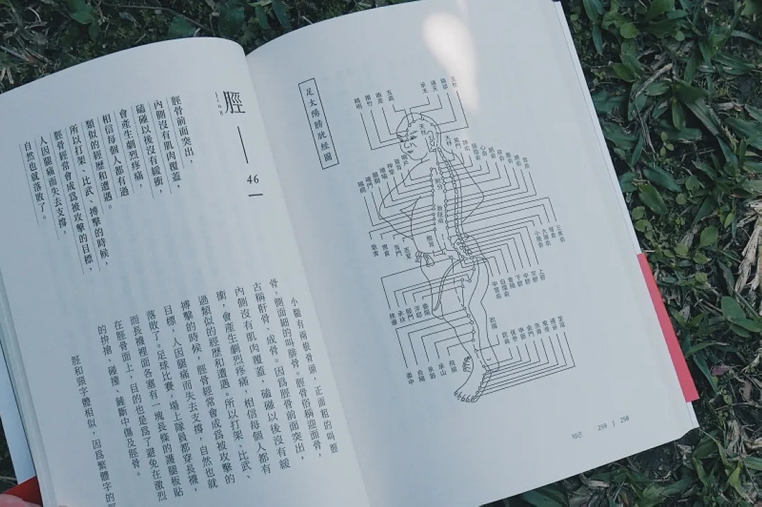 知己：從頭到腳，用漢字解說53個身體部位的運行奧祕，掌握中醫養生精髓【平裝版】 平裝書 Paperback