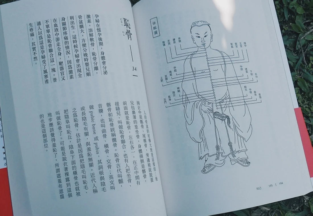 知己：從頭到腳，用漢字解說53個身體部位的運行奧祕，掌握中醫養生精髓【平裝版】 平裝書 Paperback