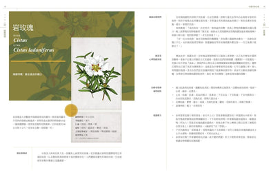 純露芳療全書：涵養植物靈魂的能量之水，療癒身心的生命之泉(二版) 精裝書 Hardback