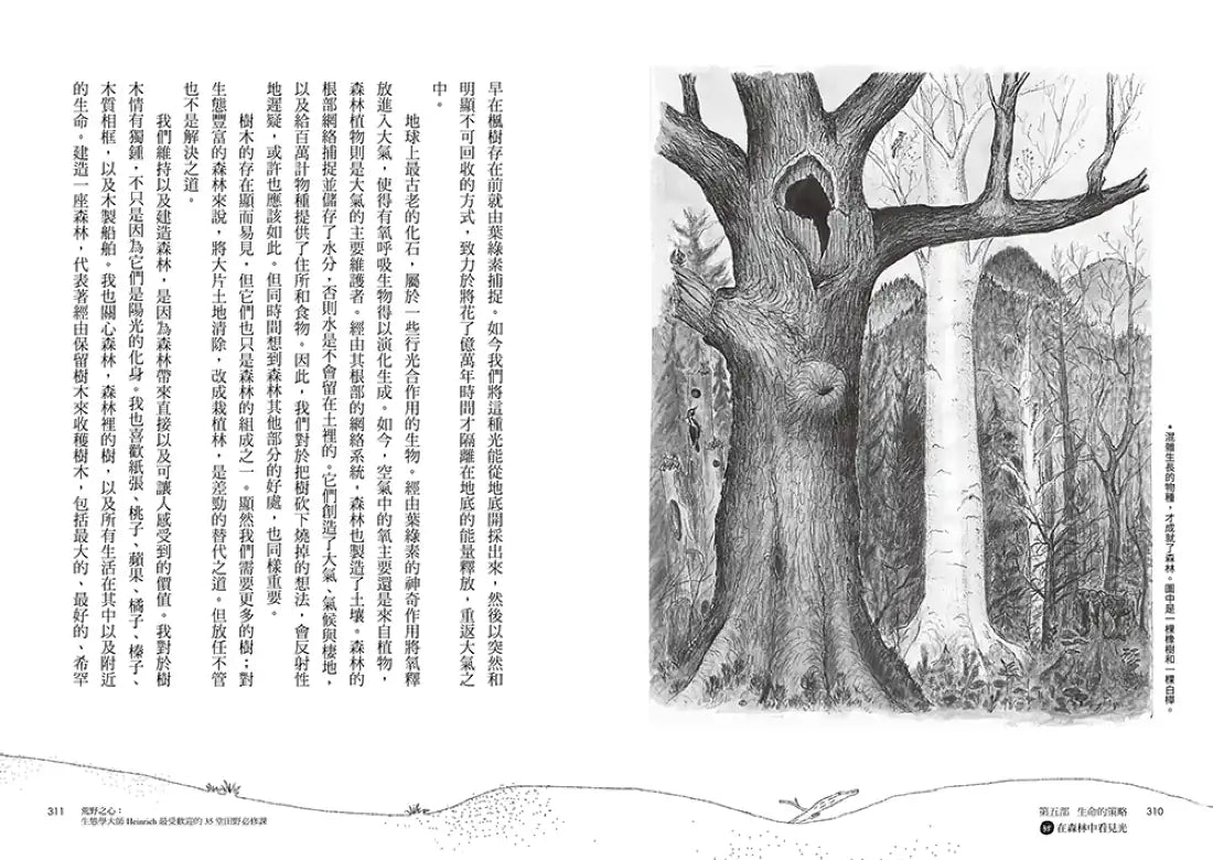 荒野之心：生態學大師Heinrich最受歡迎的35堂田野必修課【繼承梭羅湖濱散記百年精神，體驗美好自然的禮物書】 平裝書 Paperback