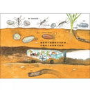 雨蛙生態旅行團：地下探險之旅 (松岡達英)-故事: 兒童繪本 Picture Books-買書書 BuyBookBook